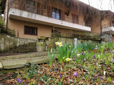 ARCISATE, SIGNORILE VILLA BIFAMILIARE