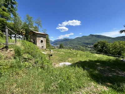 BISUSCHIO, TERRENO AGRICOLO CON VISTA LAGO