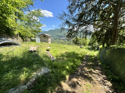 BISUSCHIO, TERRENO AGRICOLO CON VISTA LAGO