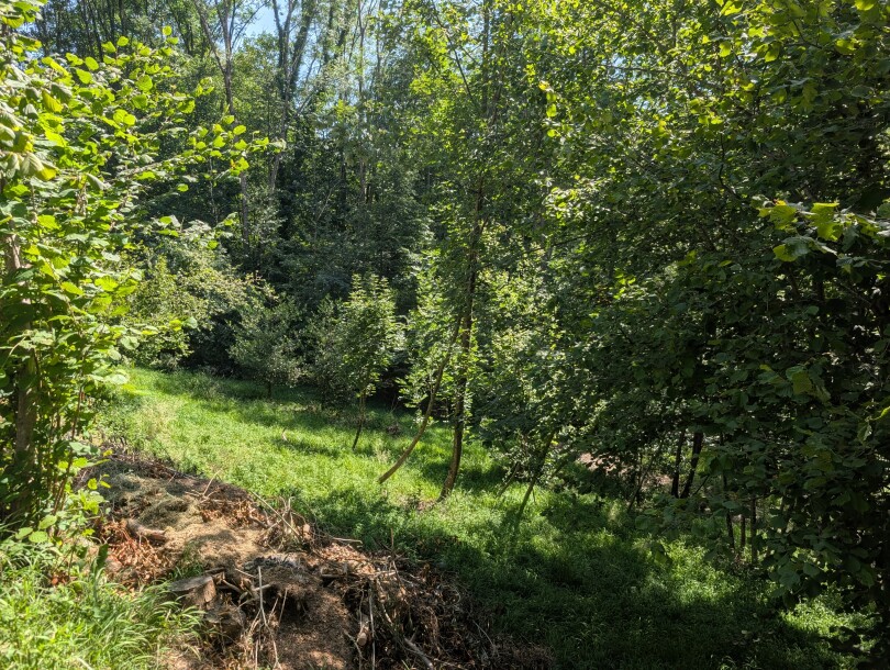 CUASSO AL MONTE, IMBORGNANA, DOPPIA PORZIONE DI CASA-27