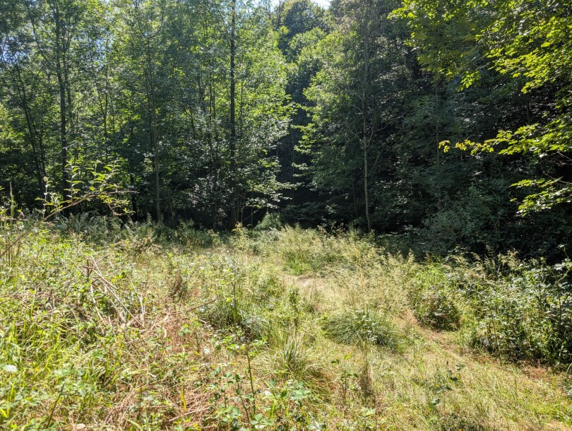 CUASSO AL MONTE, IMBORGNANA, DOPPIA PORZIONE DI CASA-28