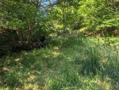 CUASSO AL MONTE, IMBORGNANA, DOPPIA PORZIONE DI CASA