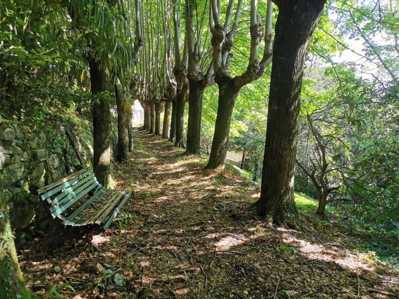 ARCISATE, VILLA MONARCO-47