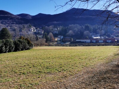BESANO, TERRENO AGRICOLO-5
