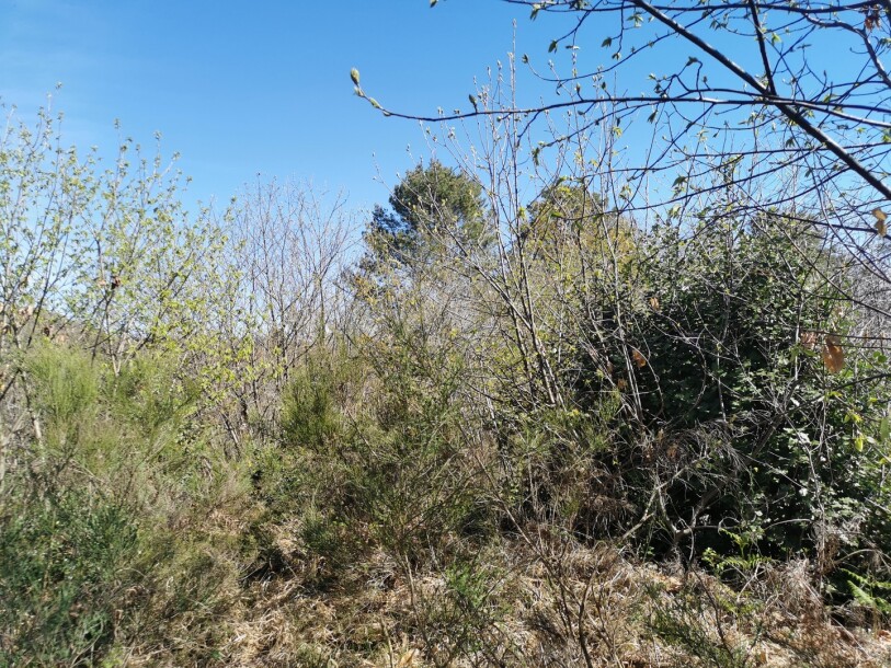 CUASSO AL MONTE, TERRENO EDIFICABILE PANORAMICO-5