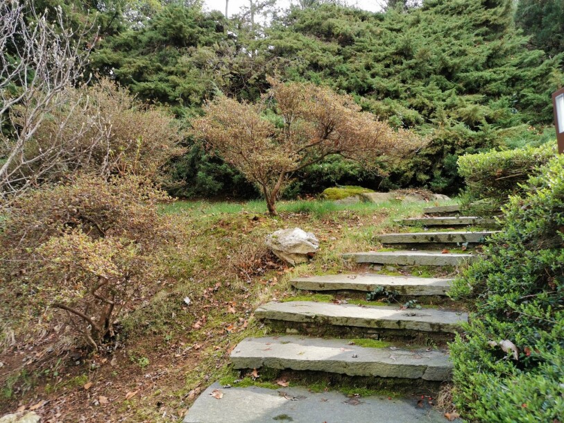 ARCISATE, SIGNORILE VILLA BIFAMILIARE-60