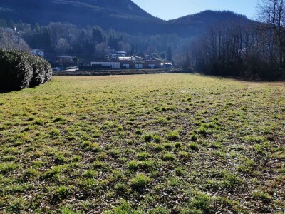 BESANO, TERRENO AGRICOLO-8